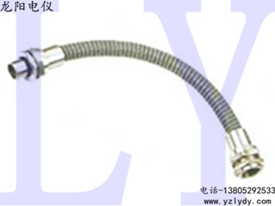 ���������������ӹ�