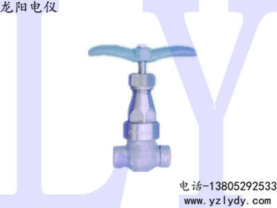 Z11HY-160������Шʽբ��