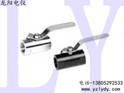 ����ʽ�в庸��