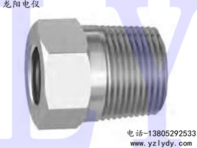 �������Ʊ侶��ͷ